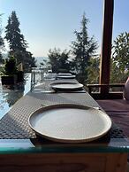 The Golden Castle Hotels