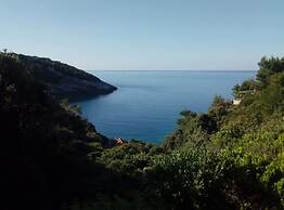 Cozy Robinson Crusoe-style House