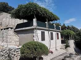 Cozy Robinson Crusoe-style House