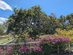 Quinta Paolita