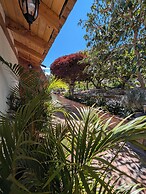 Quinta Paolita