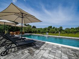 Radiant and Secluded Villa With Pool