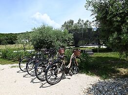 Radiant and Secluded Villa With Pool