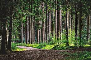 Deers Eco Home Resort