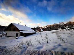 Villa in Krkonose With Sauna and Forest Views