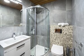Villa in Cerny Dul With Pool & Sauna