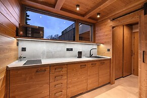 Villa in Cerny Dul With Pool & Sauna