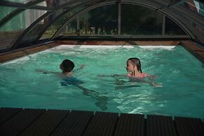 Villa in Cerny Dul With Pool & Sauna