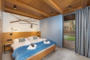 Villa in Cerny Dul With Pool & Sauna