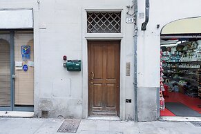 Central Nest by MMega