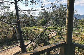 Sleep Whiskers Away From the Lions and 