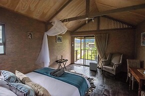 Sleep Whiskers Away From the Lions and 