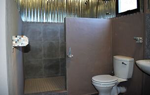 Sleep Whiskers Away From the Lions and 