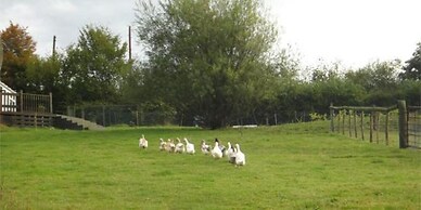 Accessible Friendly Farm Stay