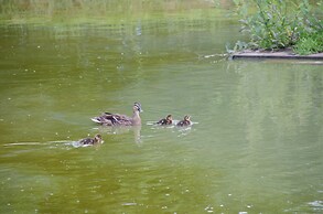 Accessible Friendly Farm Stay