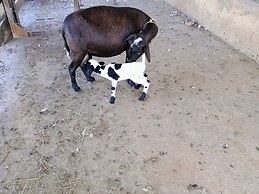 Agroturismo sonho meu ltda