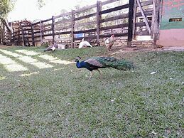 Agroturismo sonho meu ltda