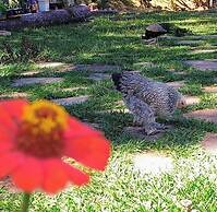 Agroturismo sonho meu ltda