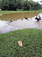 Agroturismo sonho meu ltda