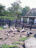 Agroturismo sonho meu ltda