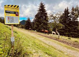 Ski-in Apartment in Chamrousse