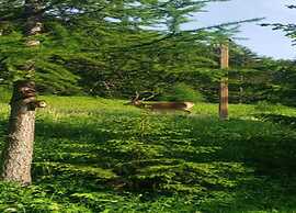 Apartment in Modane With Mountain Views