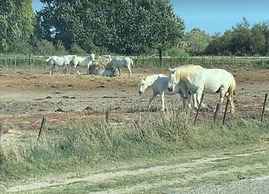 Apartment in Modane With Mountain Views