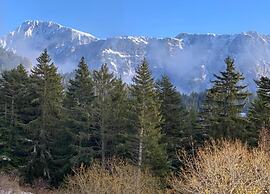 Peaceful Stay With Mountain View