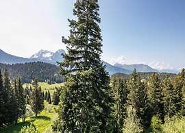 Peaceful Stay With Mountain View