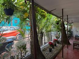 The Village Harmony by Red Rose