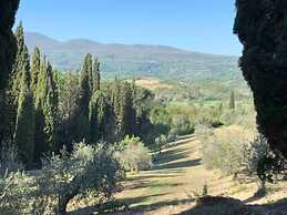 Villa Febea - Casa Febea 12-casa Febea 12