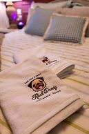 Rock Dandy La Maison de l' Ours - Nymfaio