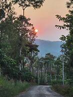 I-ROOMZ Donimoole Homestay