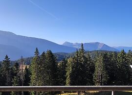 Alpine Comfort With Balcony Views