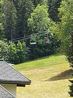 Apartment in Morillon Near Ski Slope