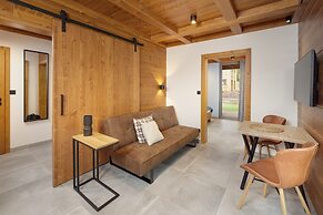 Villa in Cerny Dul Near Ski Slope