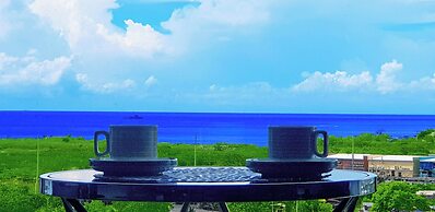 One Manchester Place 1BR Ocean View