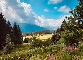 One-bedroom Apt. in Chamrousse