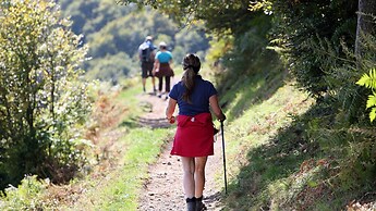 Brand new Apartment City11