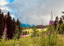 Mountain Bliss at Chamrousse Base