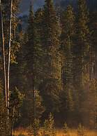 One&Only Moonlight Basin