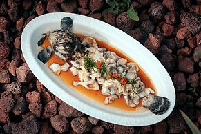 Anji ke gamer wild luxury Resort villa