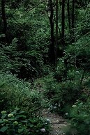 Anji ke gamer wild luxury Resort villa