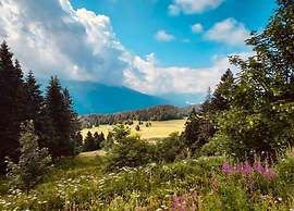 Alpine Escape at Chamrousse