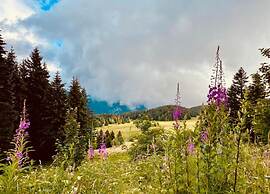 Alpine Escape at Chamrousse