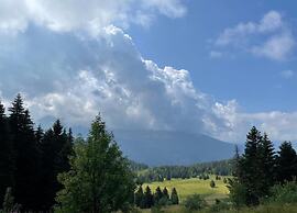Alpine Escape at Chamrousse