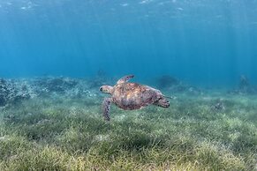 Dive Spot Asia & Brumini Beach Resort