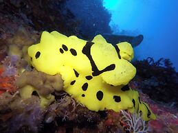 Dive Spot Asia & Brumini Beach Resort