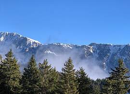 Ski Access in Chamrousse