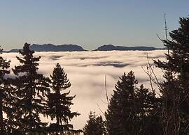 Ski Access in Chamrousse